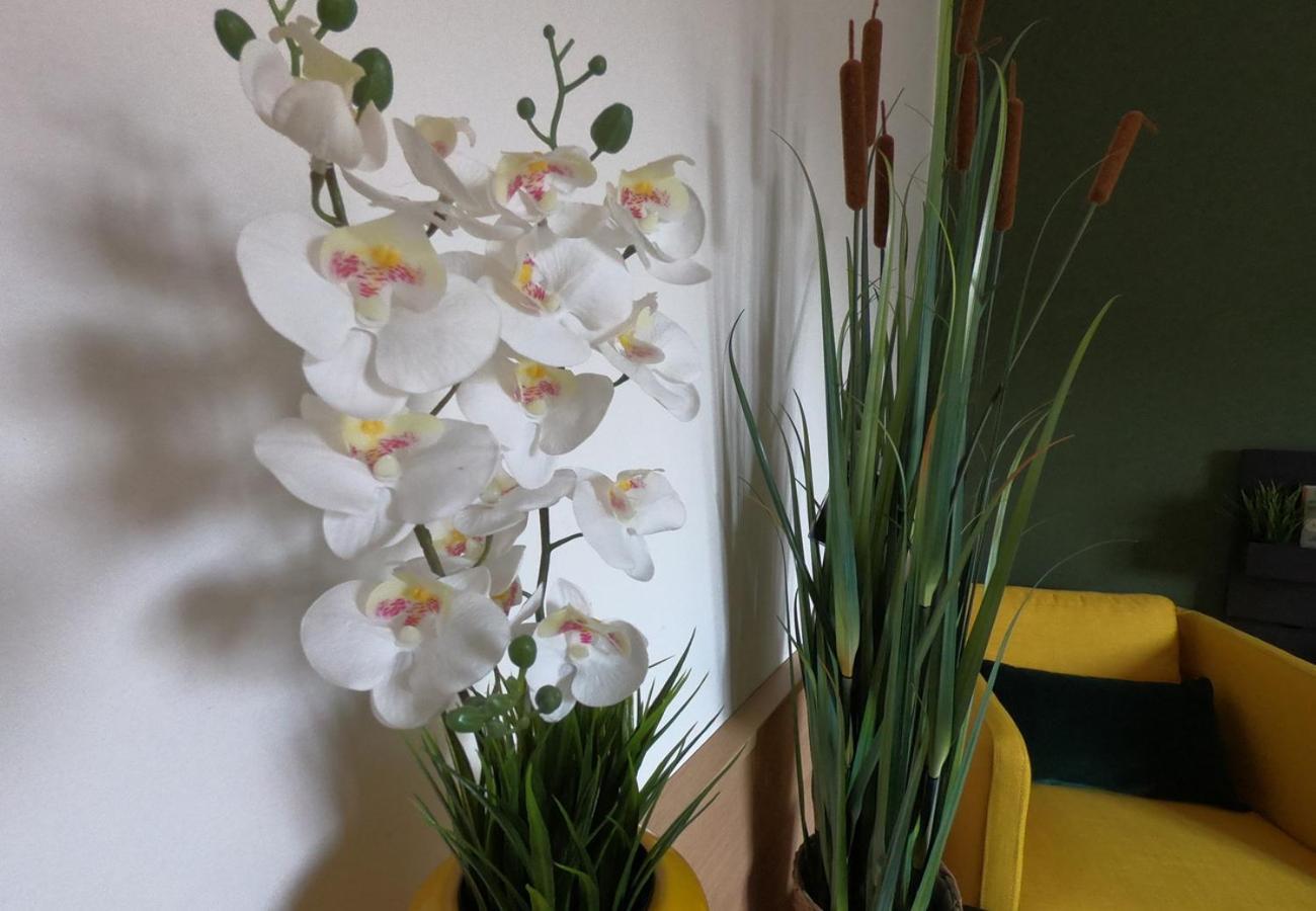 Casa Vacanze Ada Ragusa Zewnętrze zdjęcie